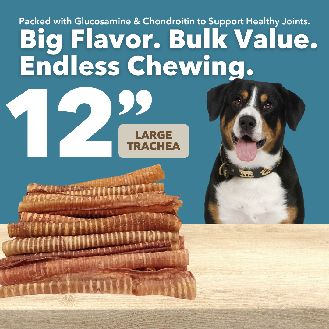 6tracpile2png Urban Pet Play Ltd | AwardWinning Pet Care Pet Shop