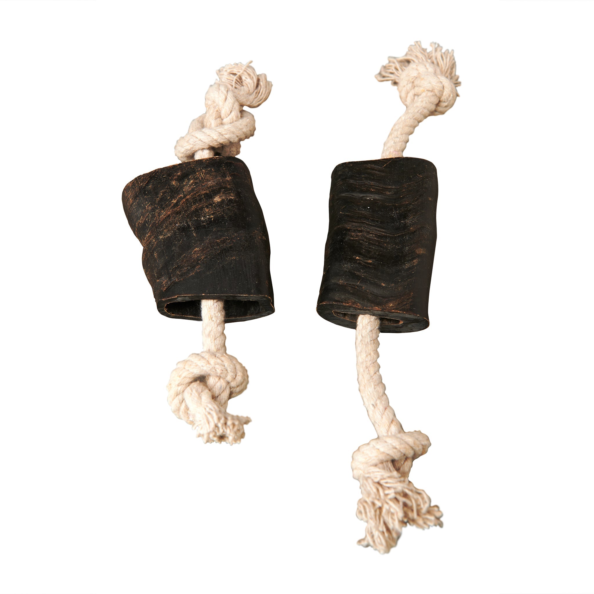 6f1d9fd4b1c364bf781fd4e0aac3ccbcajpg Urban Pet Play Ltd | AwardWinning Pet Care Pet Shop