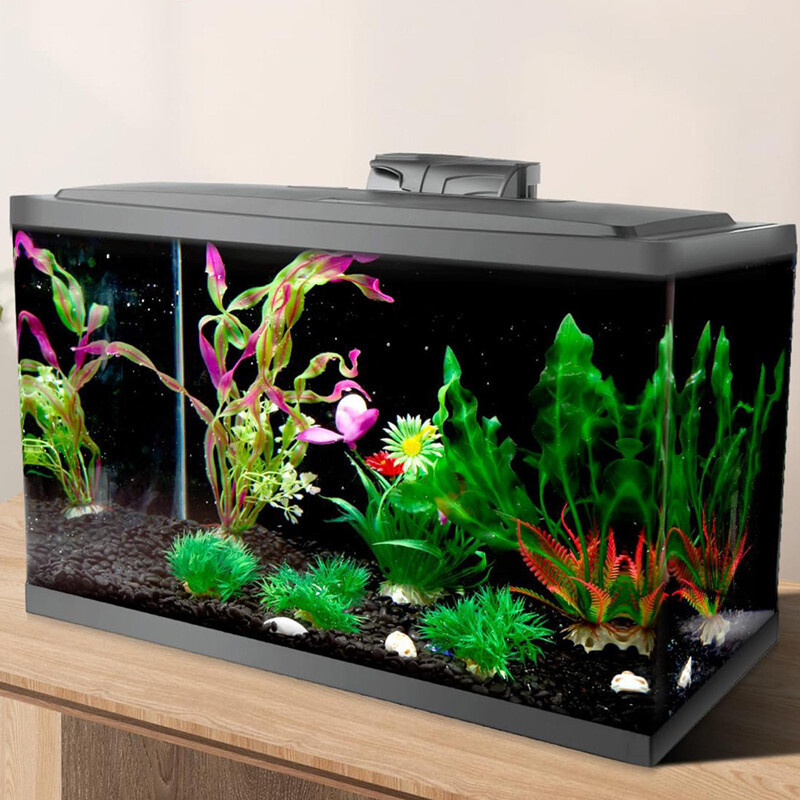 6a496af95f744d12a02e7ecab82bc9eajpg Urban Pet Play Ltd | AwardWinning Pet Care Pet Shop