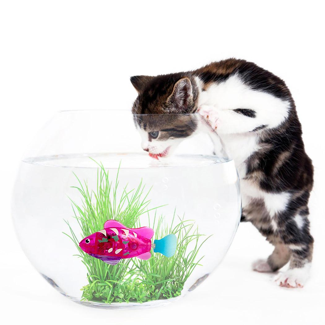 727282119746jpg Urban Pet Play Ltd | AwardWinning Pet Care Pet Shop