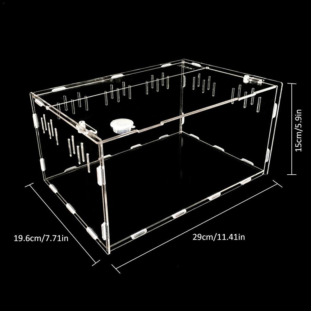 777246563453jpg Urban Pet Play Ltd | AwardWinning Pet Care Pet Shop