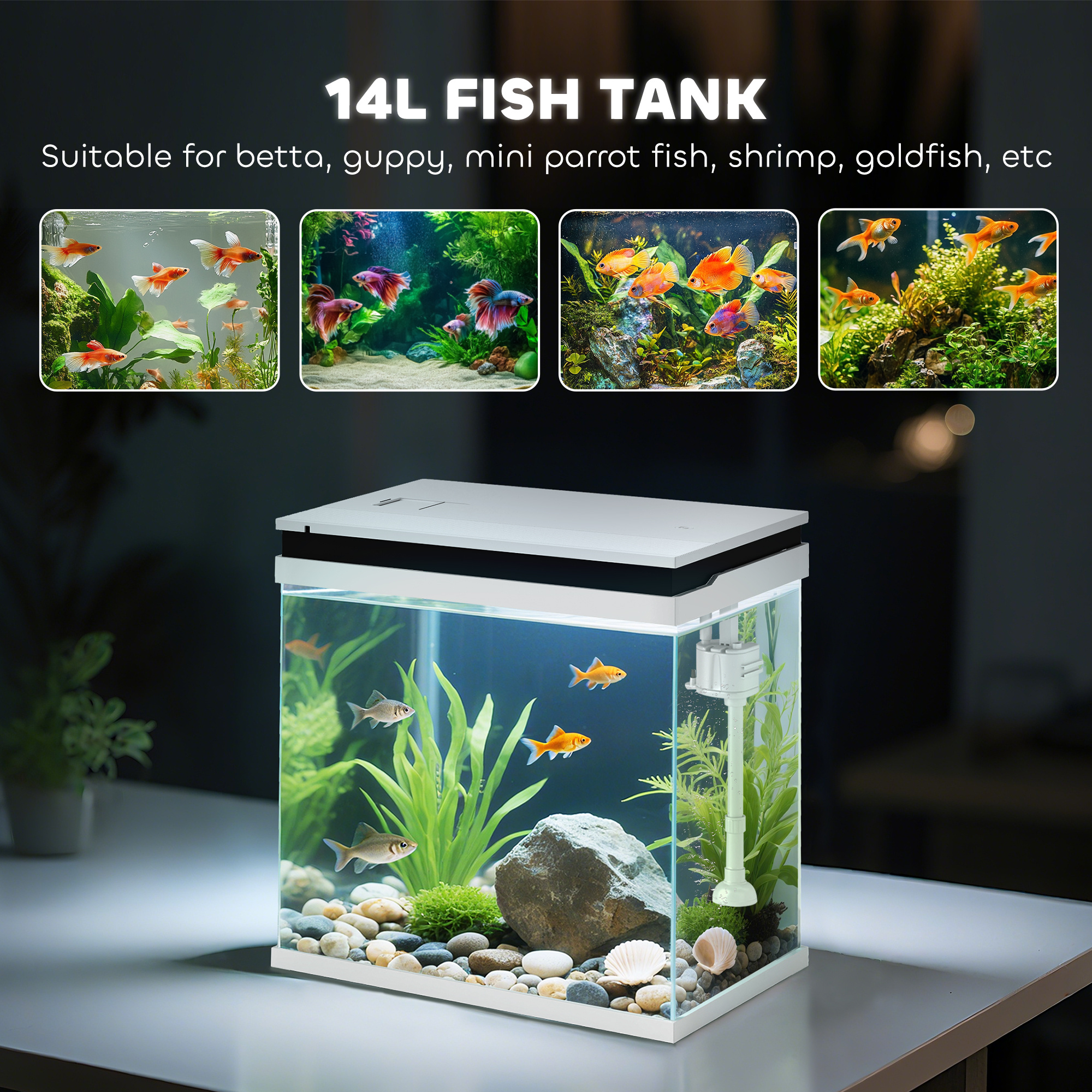 82f56cbbc2fd4730951a4fa408a6db742jpg Urban Pet Play Ltd | AwardWinning Pet Care Pet Shop