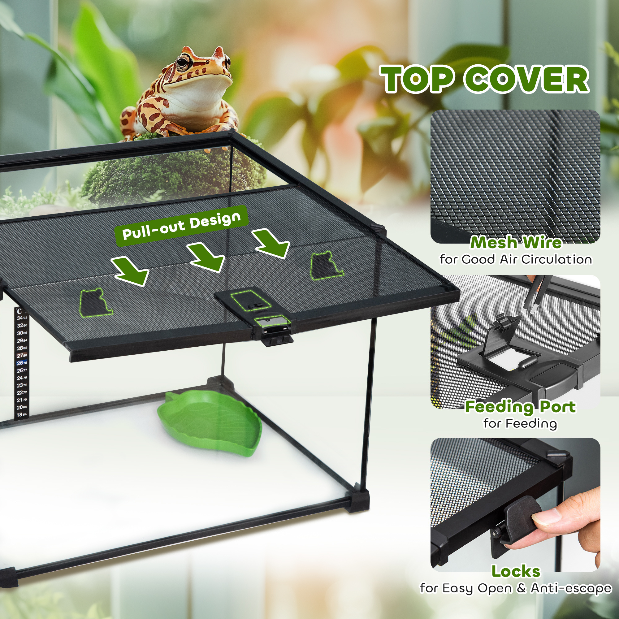 90b5a2704f3d44159bb403f04acc8fb2jpg Urban Pet Play Ltd | AwardWinning Pet Care Pet Shop