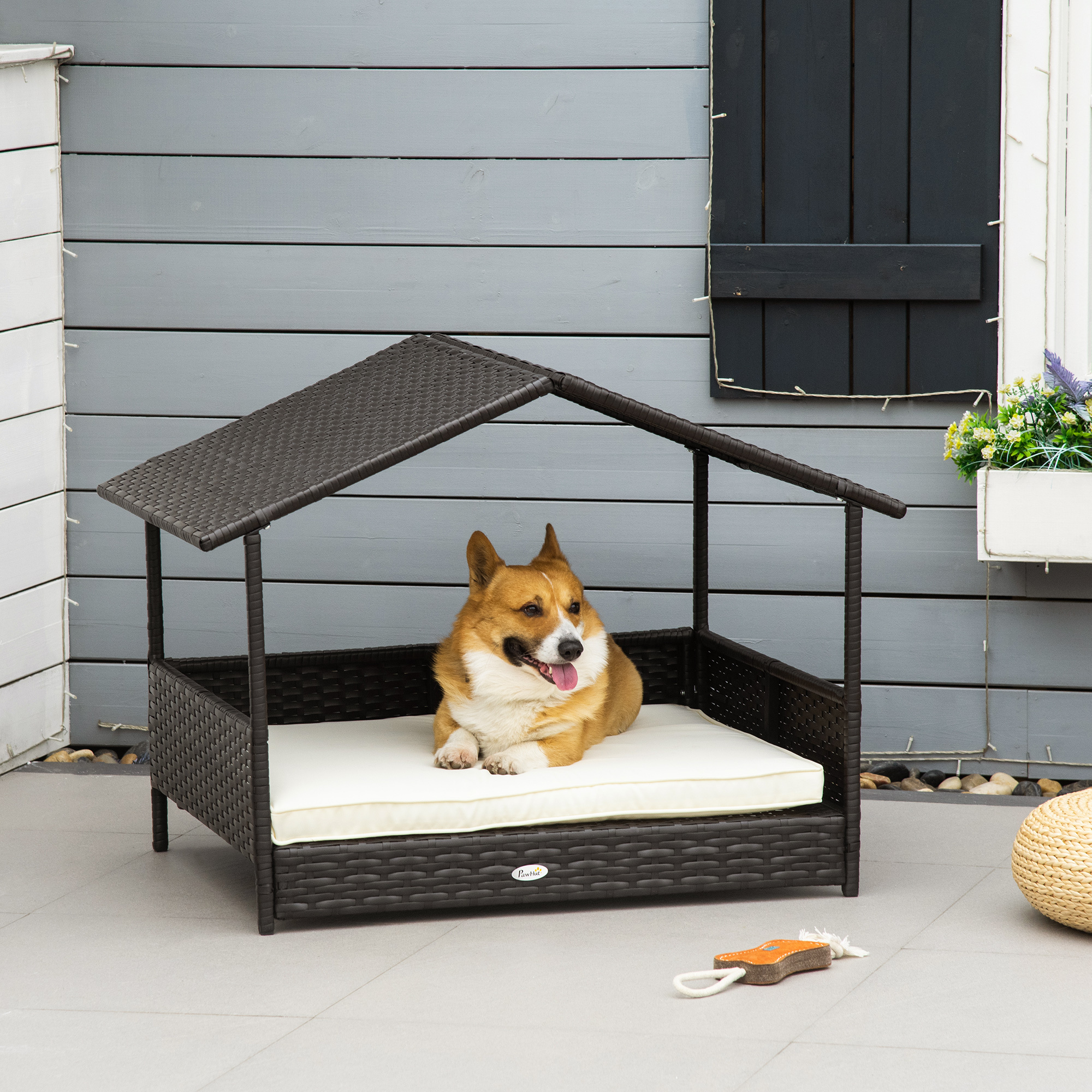 95b51c0c02a24c4bbc810439ed66fa11jpg Urban Pet Play Ltd | AwardWinning Pet Care Pet Shop