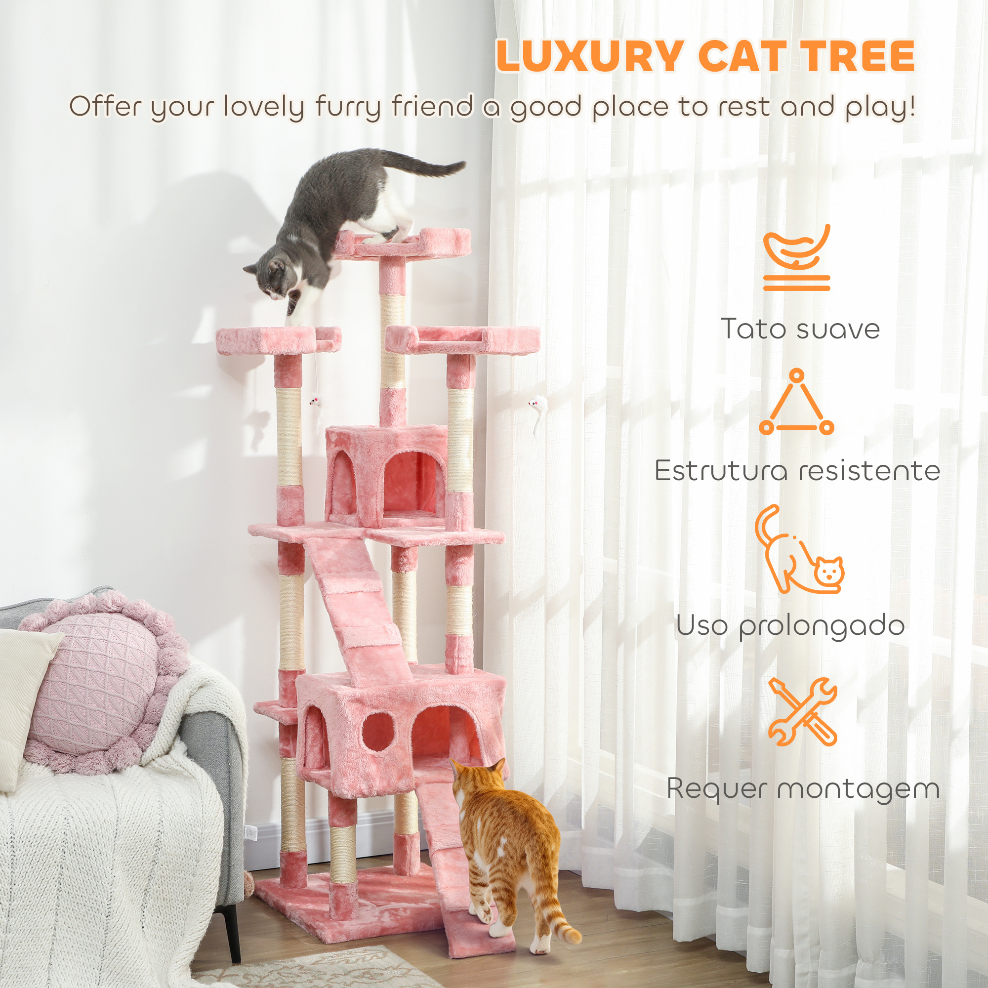 9dd1ada30cf14d7296dd56efe5fd2e2djpg Urban Pet Play Ltd | AwardWinning Pet Care Pet Shop