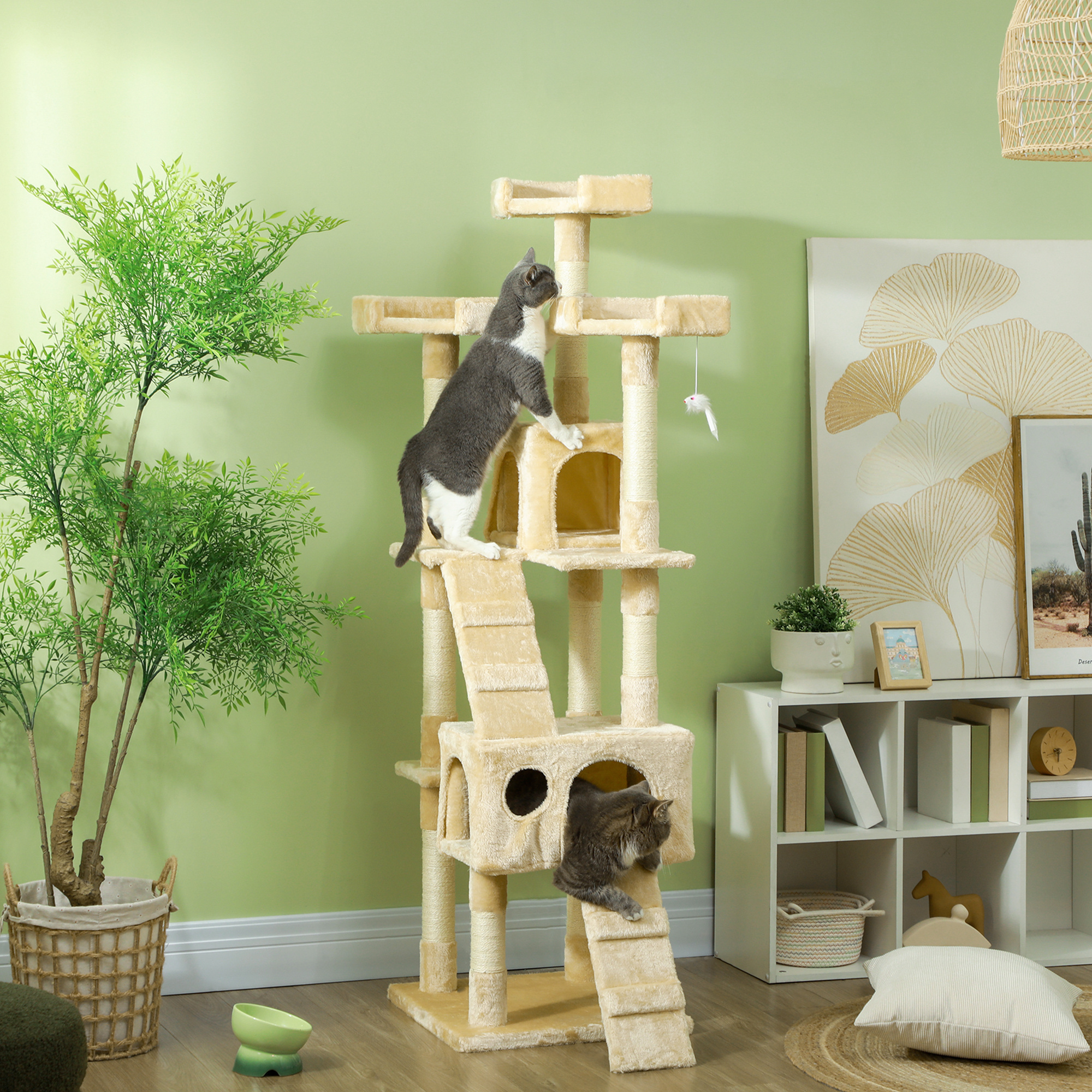 9feac396c802423282c2093c2ca71476jpg Urban Pet Play Ltd | AwardWinning Pet Care Pet Shop