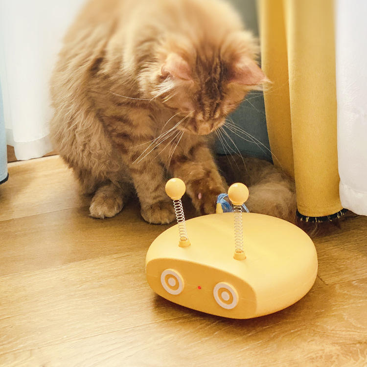 AutomaticCatPlayingToycashymart355781224368861jpg Urban Pet Play Ltd | AwardWinning Pet Care Pet Shop