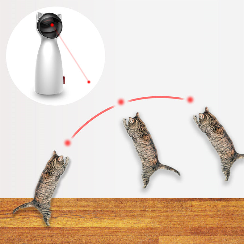 CatLaserToycashymart35578153074966jpg Urban Pet Play Ltd | AwardWinning Pet Care Pet Shop