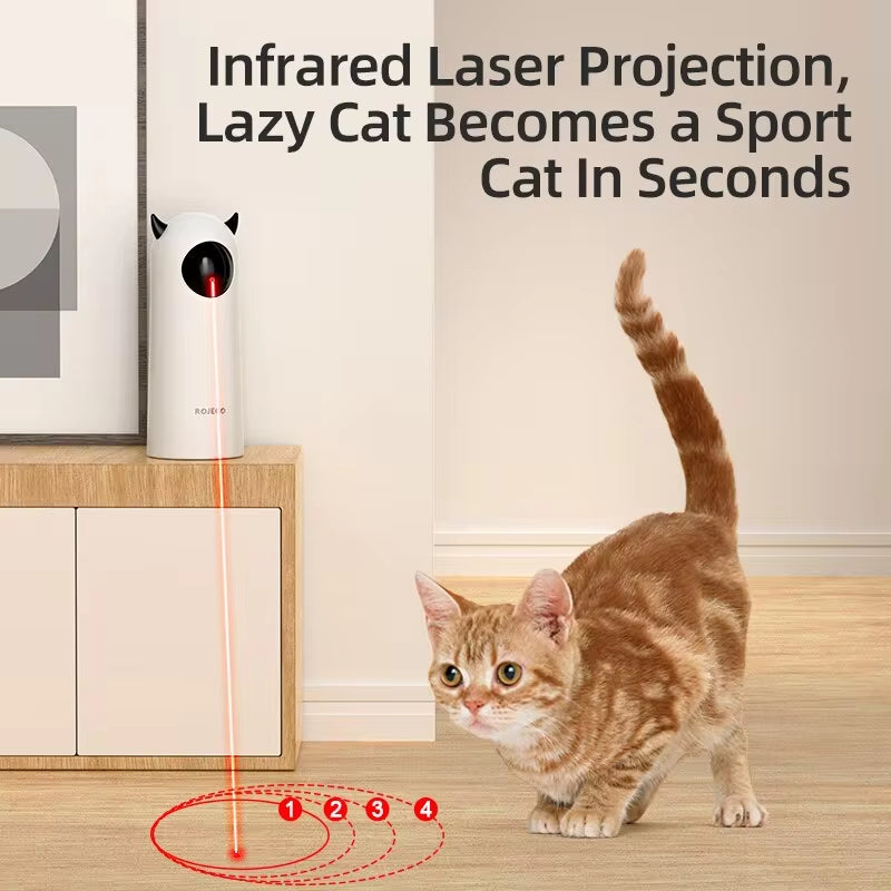 CatLaserToycashymart39722959372566jpg Urban Pet Play Ltd | AwardWinning Pet Care Pet Shop