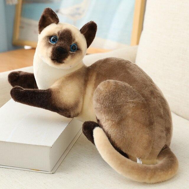 CatPlushDollToycashymart381630850009823jpg Urban Pet Play Ltd | AwardWinning Pet Care Pet Shop