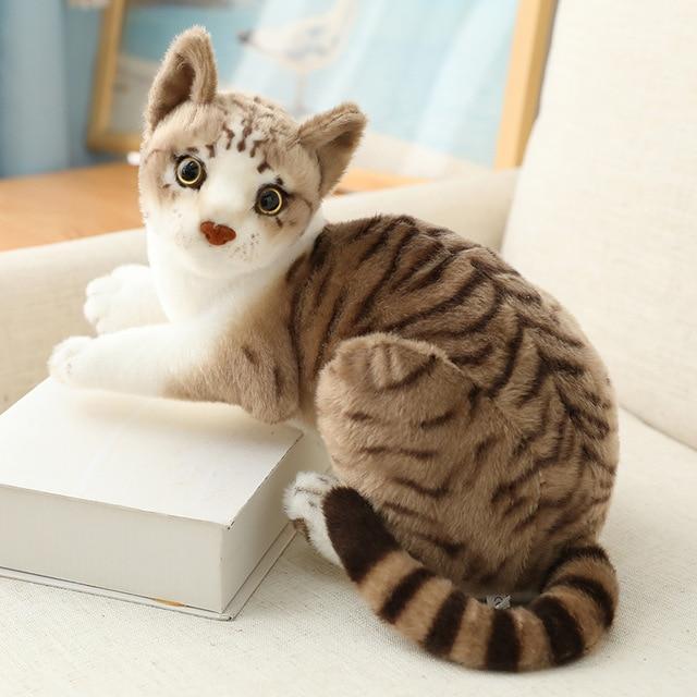 CatPlushDollToycashymart381630852958945jpg Urban Pet Play Ltd | AwardWinning Pet Care Pet Shop