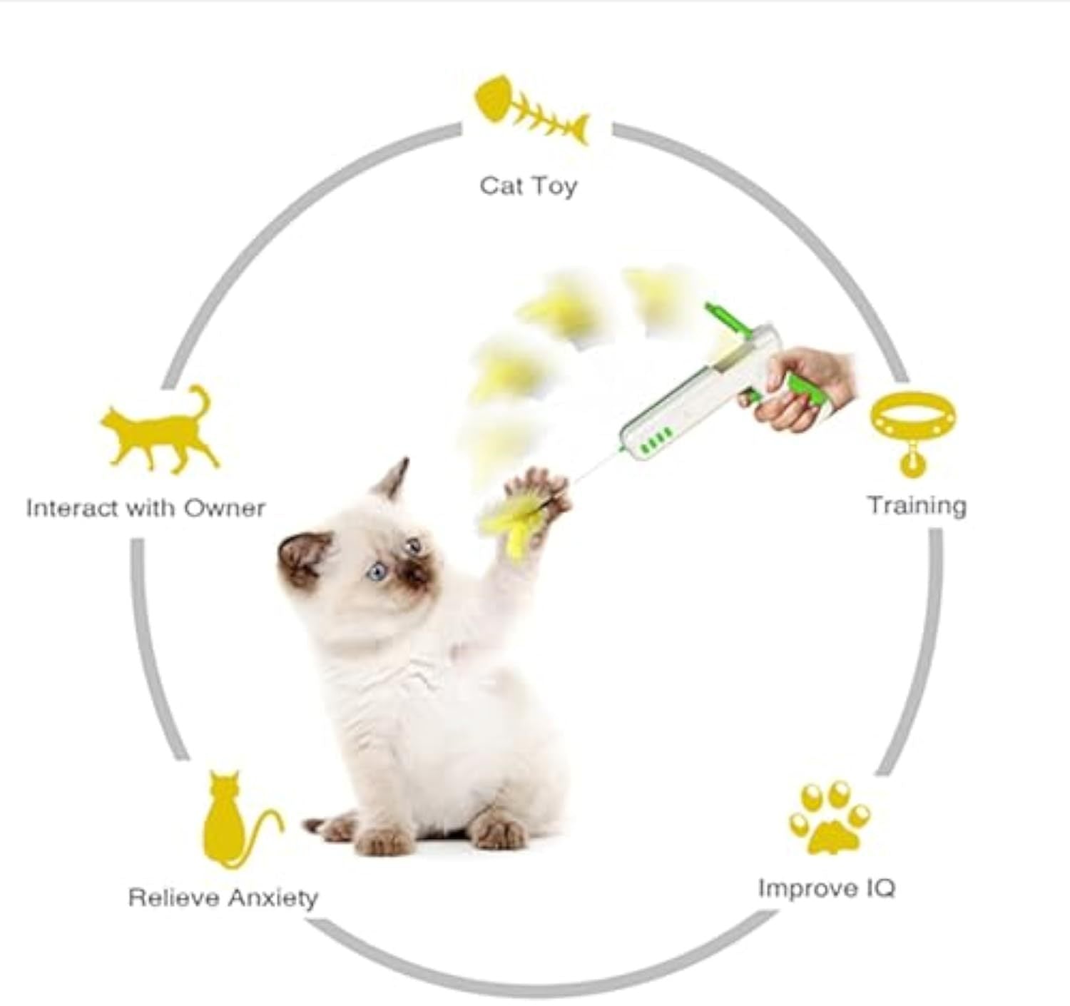 CatToywithBallcashymart42095970943254jpg Urban Pet Play Ltd | AwardWinning Pet Care Pet Shop