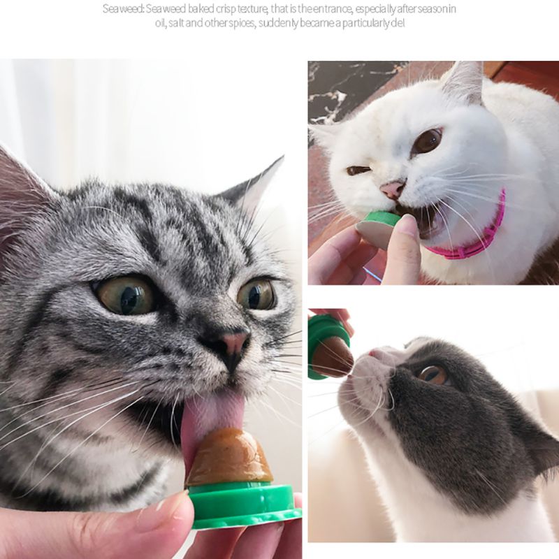 CatnipEnergyBallLickToycashymart355782521981661jpg Urban Pet Play Ltd | AwardWinning Pet Care Pet Shop