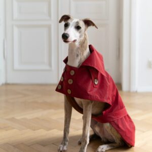 Water-repellent Dog Trench Coat - Burgundy Red