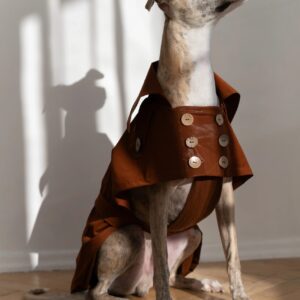 Water-repellent Dog Trench Coat - Chocolate Brown