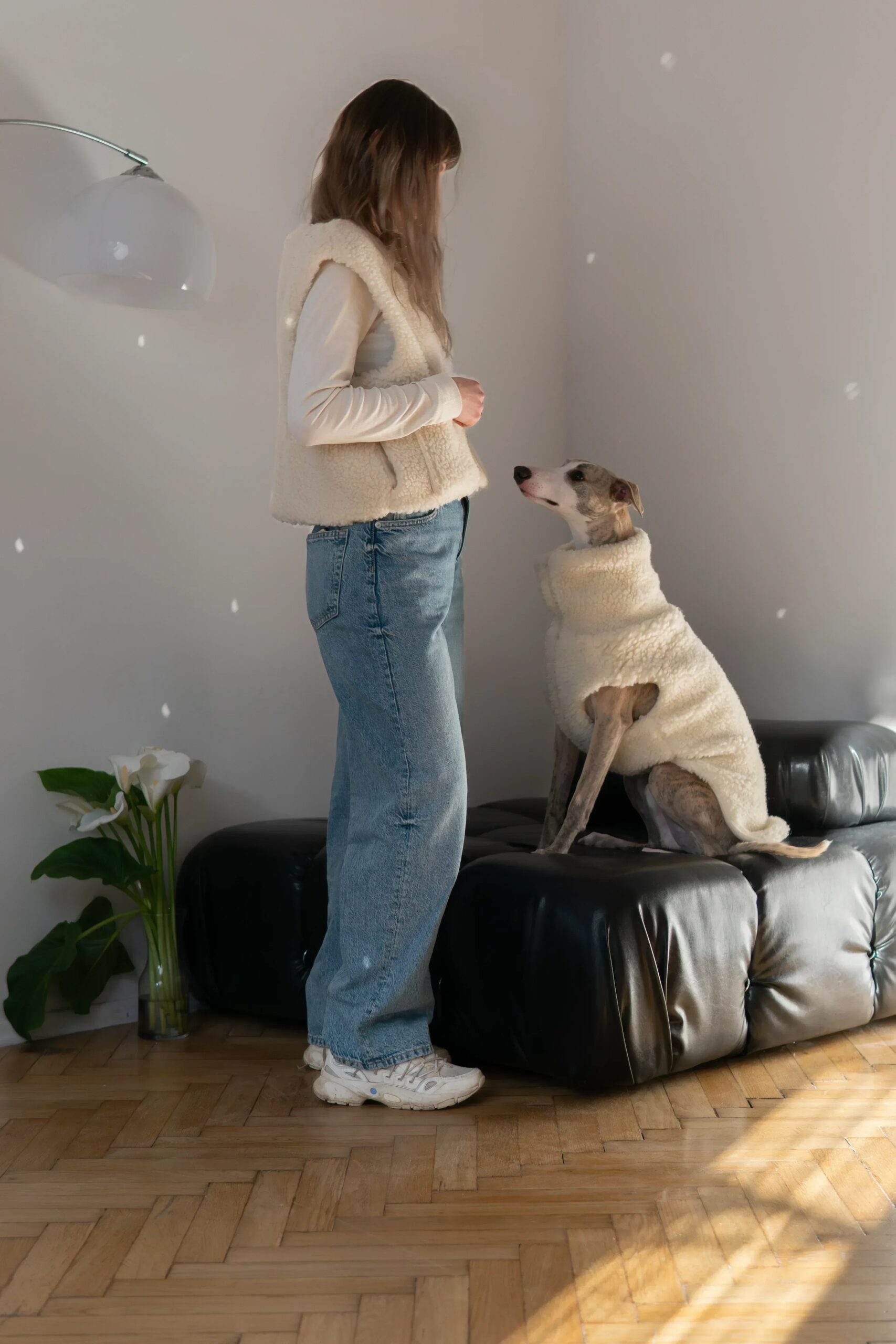DSC01412EnhancedNRd9c1a955206e47cba1758e471bc10792jpg Urban Pet Play Ltd | AwardWinning Pet Care Pet Shop