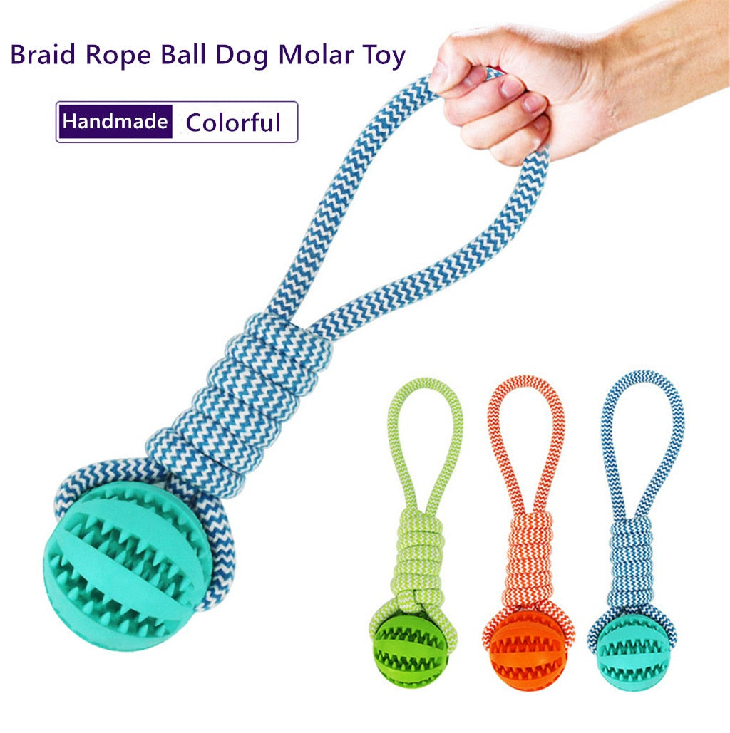 DentalHealthPetRopeBallToycashymart35591818314006jpg Urban Pet Play Ltd | AwardWinning Pet Care Pet Shop