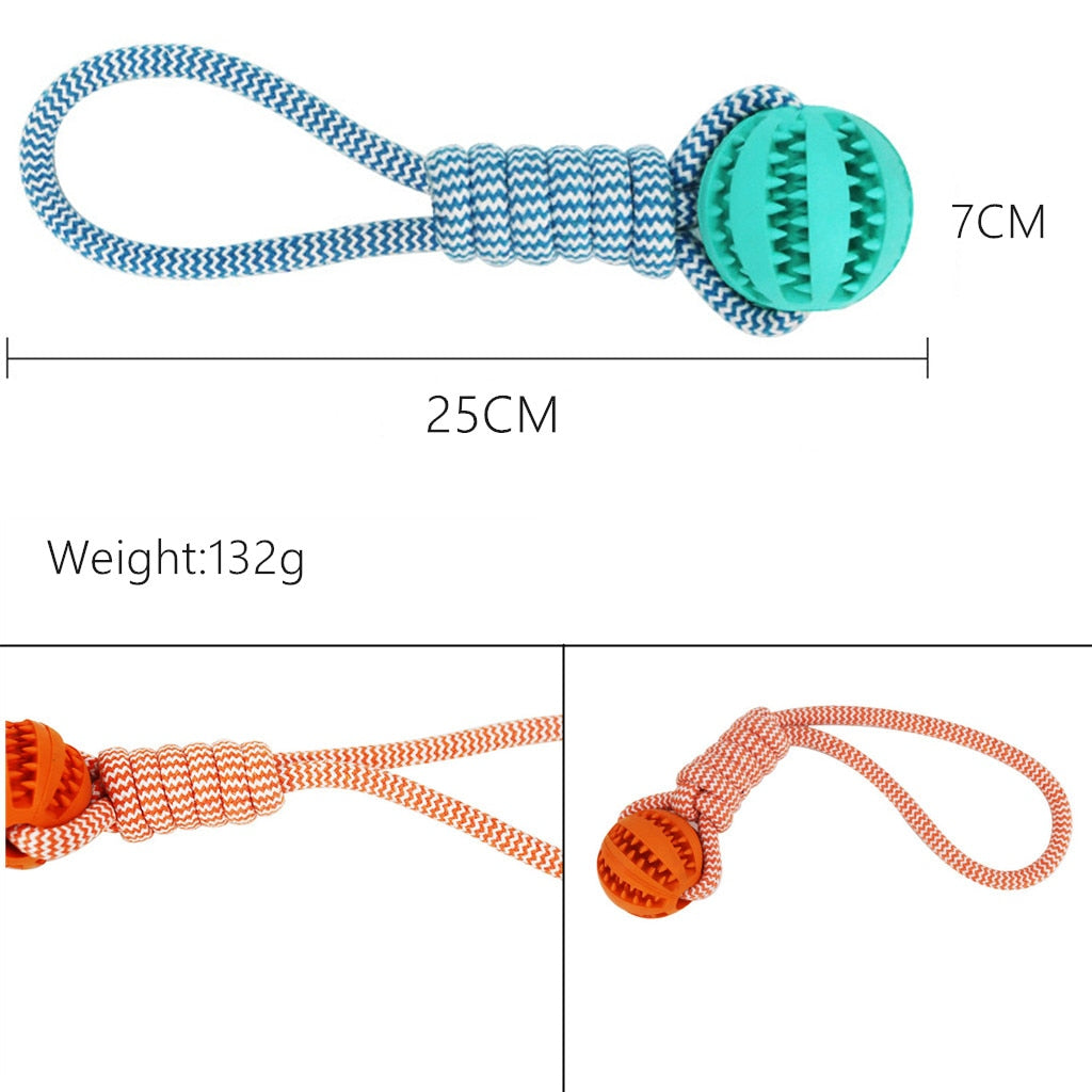 DentalHealthPetRopeBallToycashymart35591818379542jpg Urban Pet Play Ltd | AwardWinning Pet Care Pet Shop