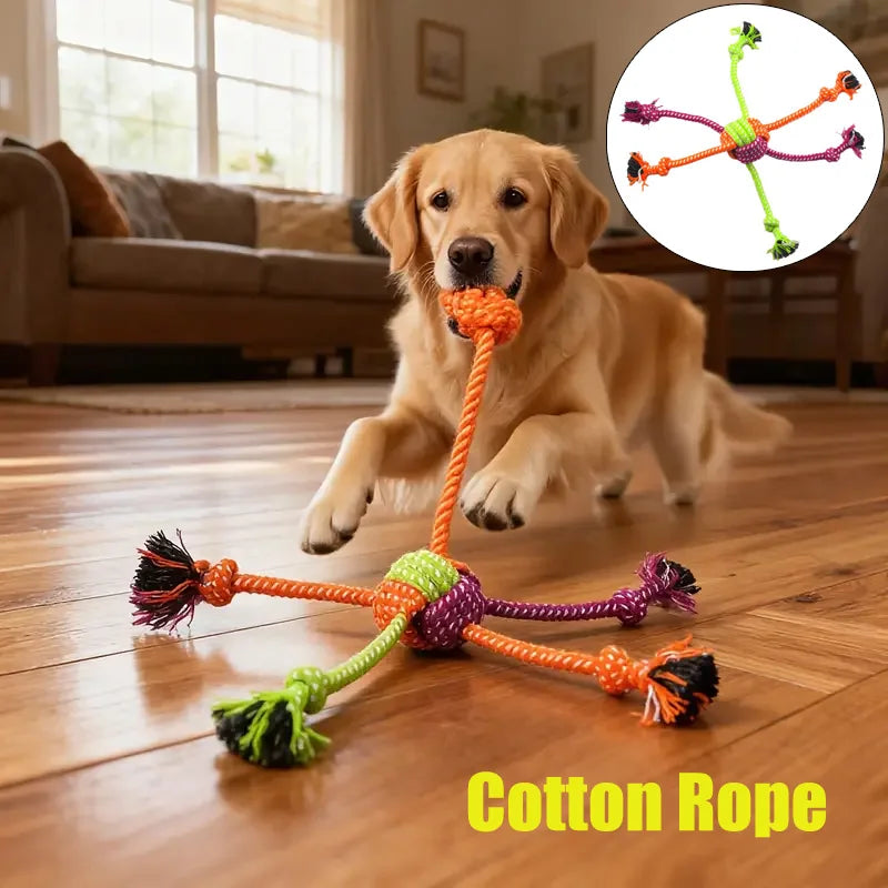 DogRopeToycashymart45469386473750jpg Urban Pet Play Ltd | AwardWinning Pet Care Pet Shop