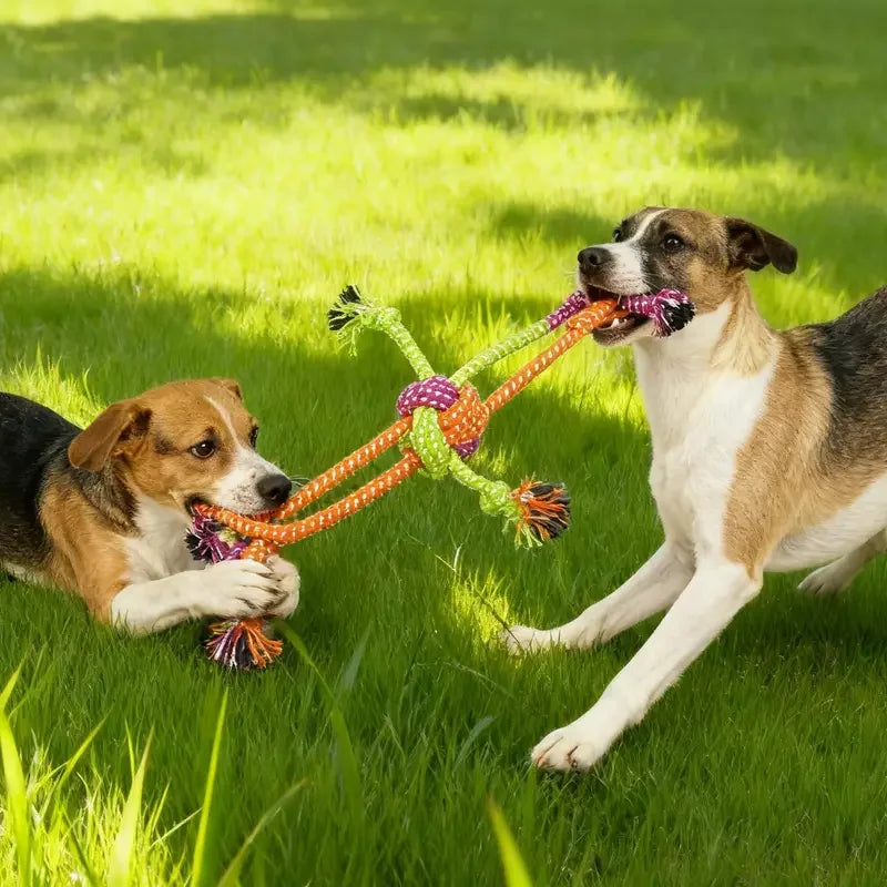 DogRopeToycashymart45469386506518jpg Urban Pet Play Ltd | AwardWinning Pet Care Pet Shop
