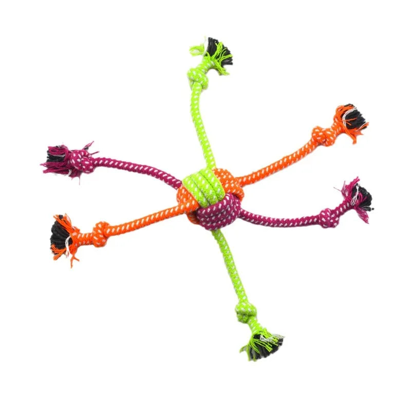 DogRopeToycashymart45469386670358jpg Urban Pet Play Ltd | AwardWinning Pet Care Pet Shop