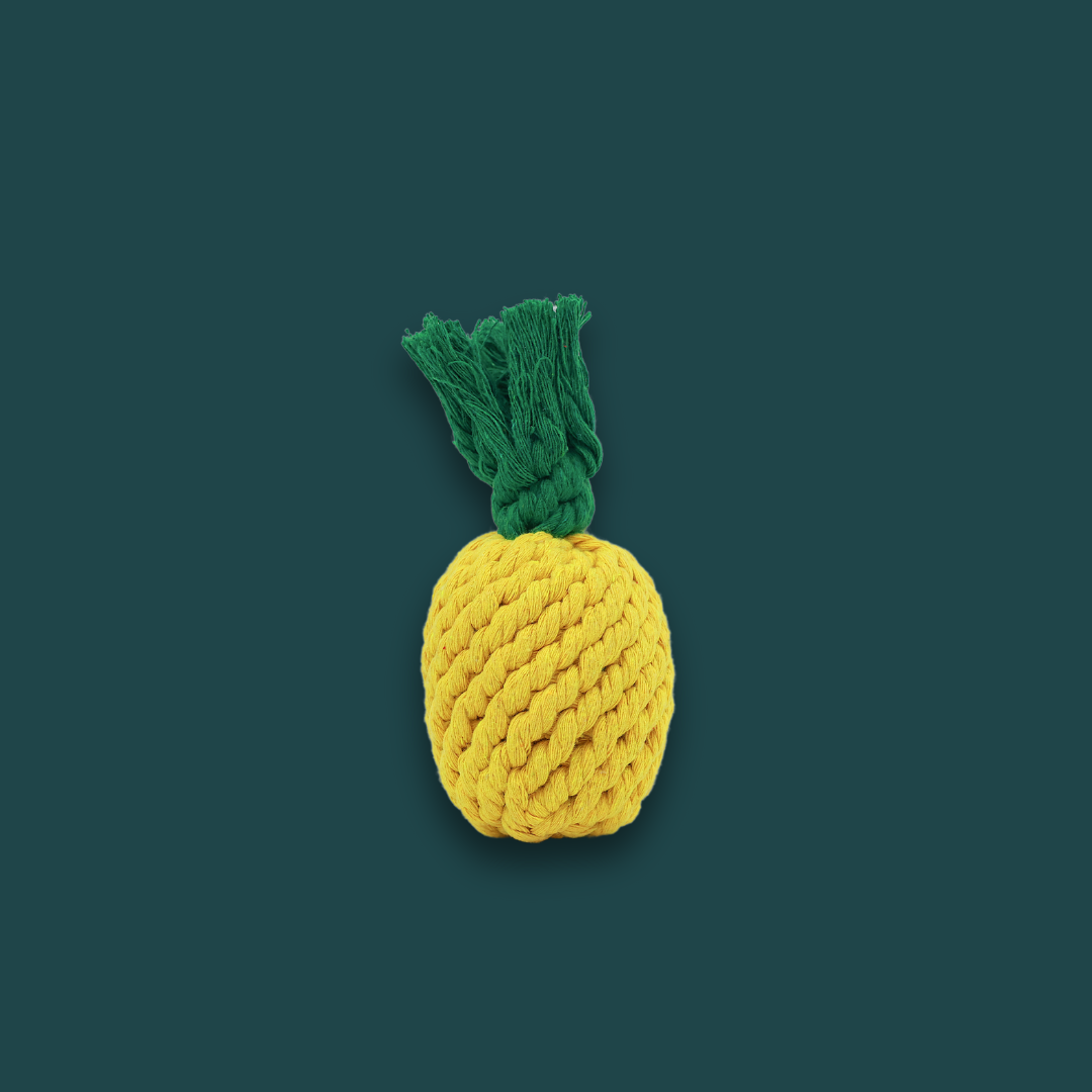DogFruitRopeToysForPuppiesandCatspng Urban Pet Play Ltd | AwardWinning Pet Care Pet Shop