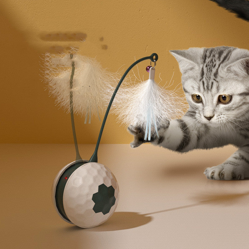 ElectricInteractiveCatToycashymart35578130432278jpg Urban Pet Play Ltd | AwardWinning Pet Care Pet Shop