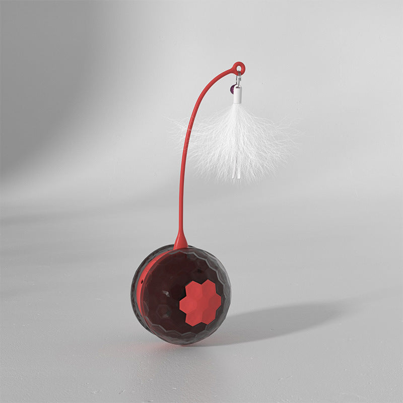 ElectricInteractiveCatToycashymart35578131120406jpg Urban Pet Play Ltd | AwardWinning Pet Care Pet Shop