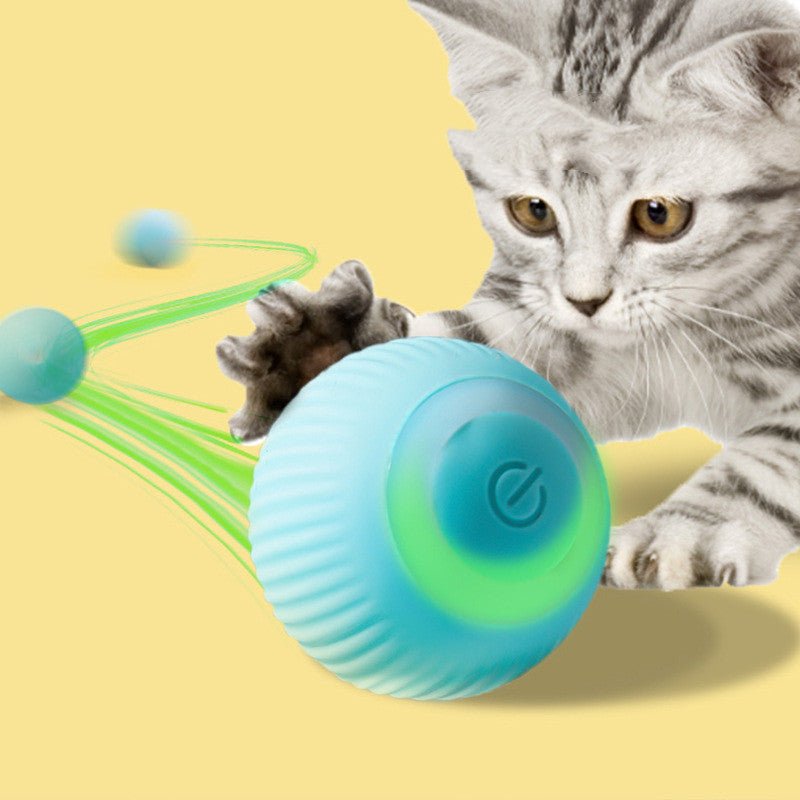 ElectricRollingBallCatToycashymart35079105151254jpg Urban Pet Play Ltd | AwardWinning Pet Care Pet Shop