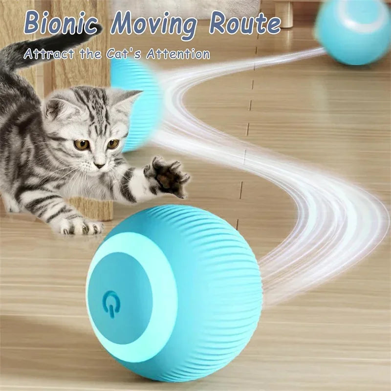 ElectricRollingCatToyBallcashymart39142309134614jpg Urban Pet Play Ltd | AwardWinning Pet Care Pet Shop