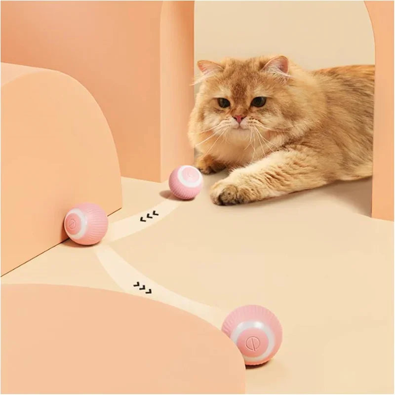 ElectricRollingCatToyBallcashymart39142309167382jpg Urban Pet Play Ltd | AwardWinning Pet Care Pet Shop
