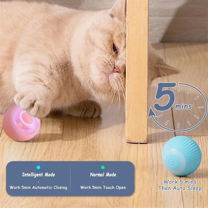 ElectricRollingCatToyBallcashymart39142309200150jpg Urban Pet Play Ltd | AwardWinning Pet Care Pet Shop