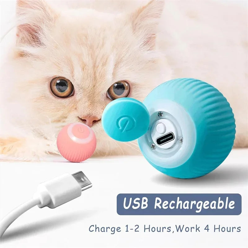 ElectricRollingCatToyBallcashymart39142309232918jpg Urban Pet Play Ltd | AwardWinning Pet Care Pet Shop