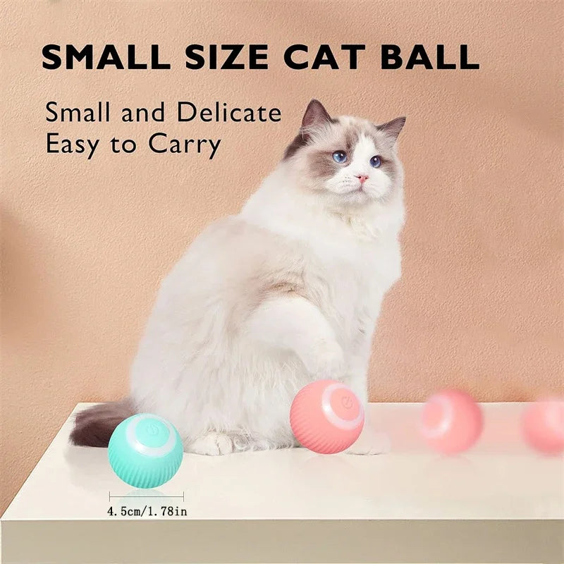 ElectricRollingCatToyBallcashymart39142309265686jpg Urban Pet Play Ltd | AwardWinning Pet Care Pet Shop