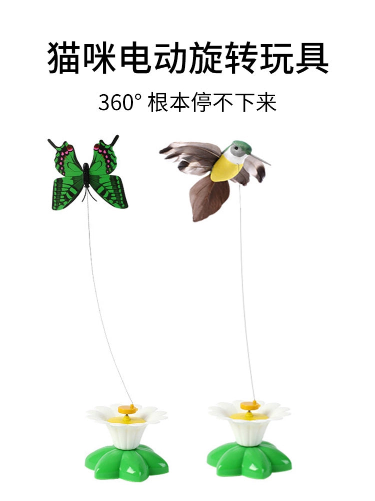 ElectricRotatingCatToycashymart391172811655901jpg Urban Pet Play Ltd | AwardWinning Pet Care Pet Shop