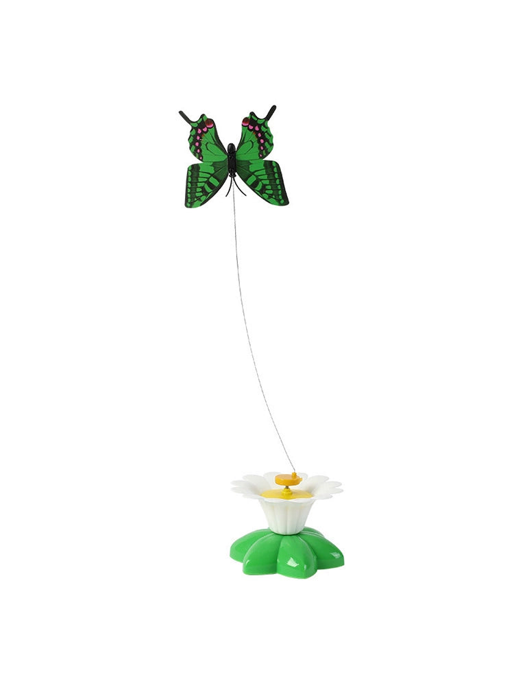 ElectricRotatingCatToycashymart39117281296662jpg Urban Pet Play Ltd | AwardWinning Pet Care Pet Shop