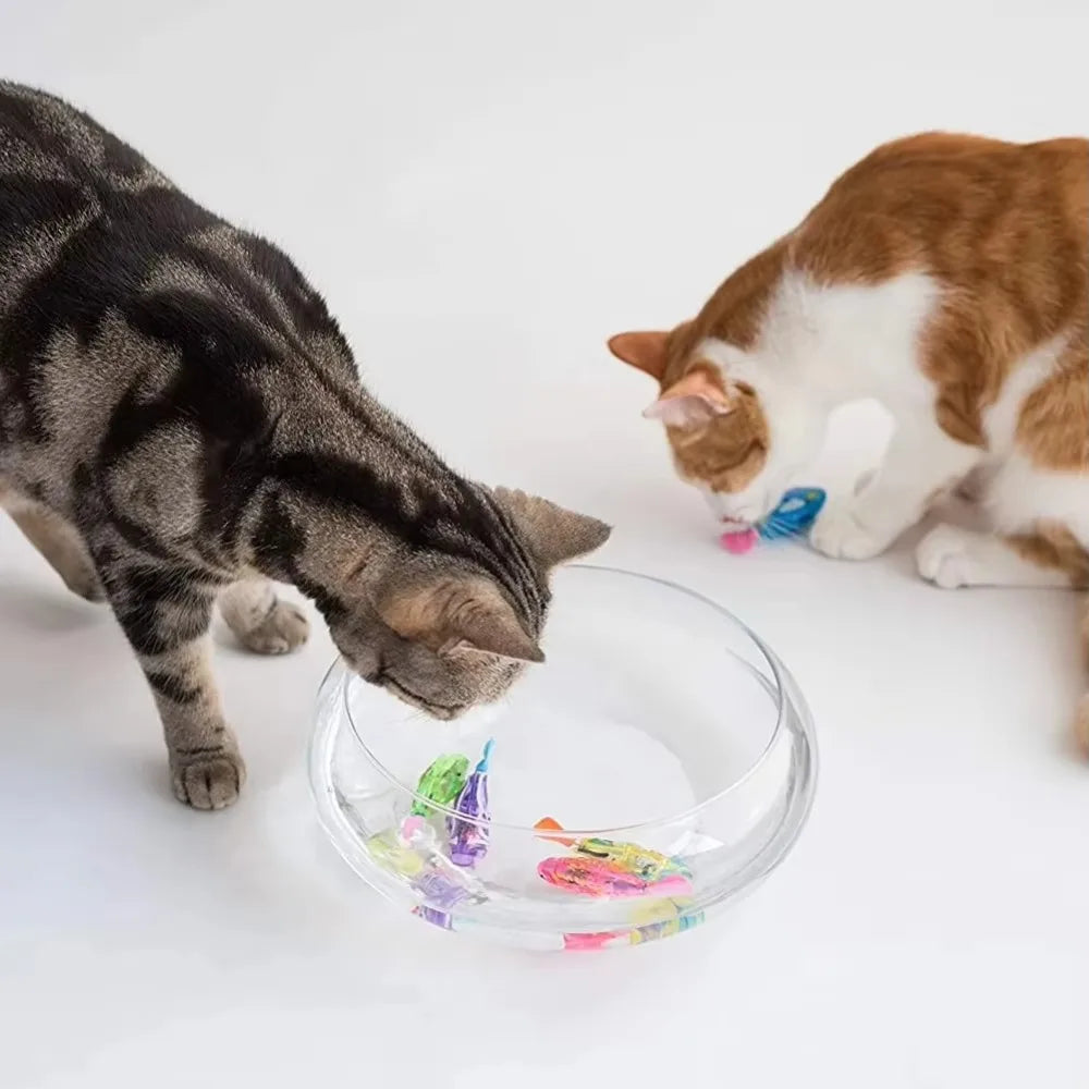 FishToysforCatscashymart40713630187798jpg Urban Pet Play Ltd | AwardWinning Pet Care Pet Shop