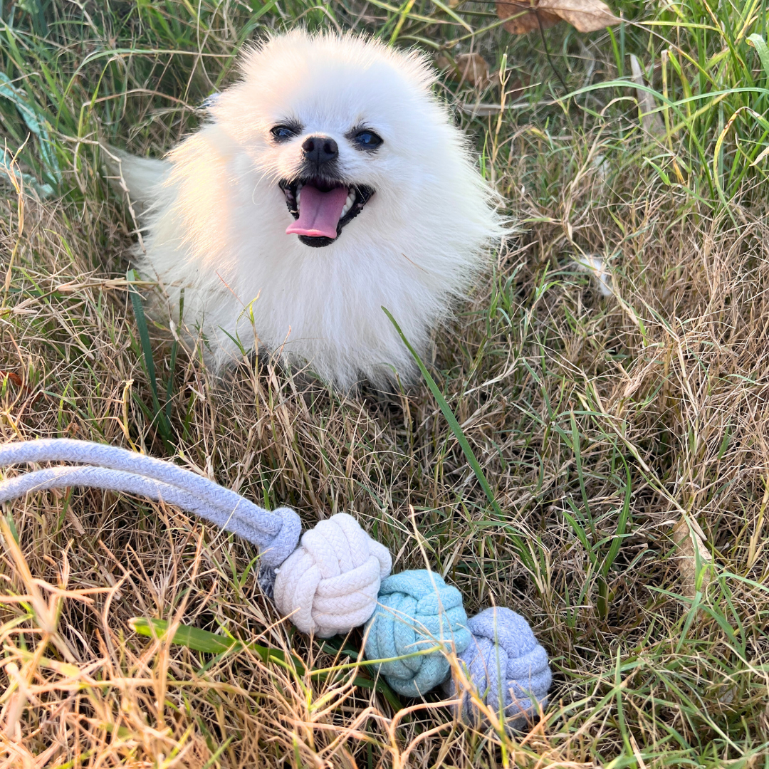 GreenLivingHandmadeCottonRopeSolutionspng Urban Pet Play Ltd | AwardWinning Pet Care Pet Shop