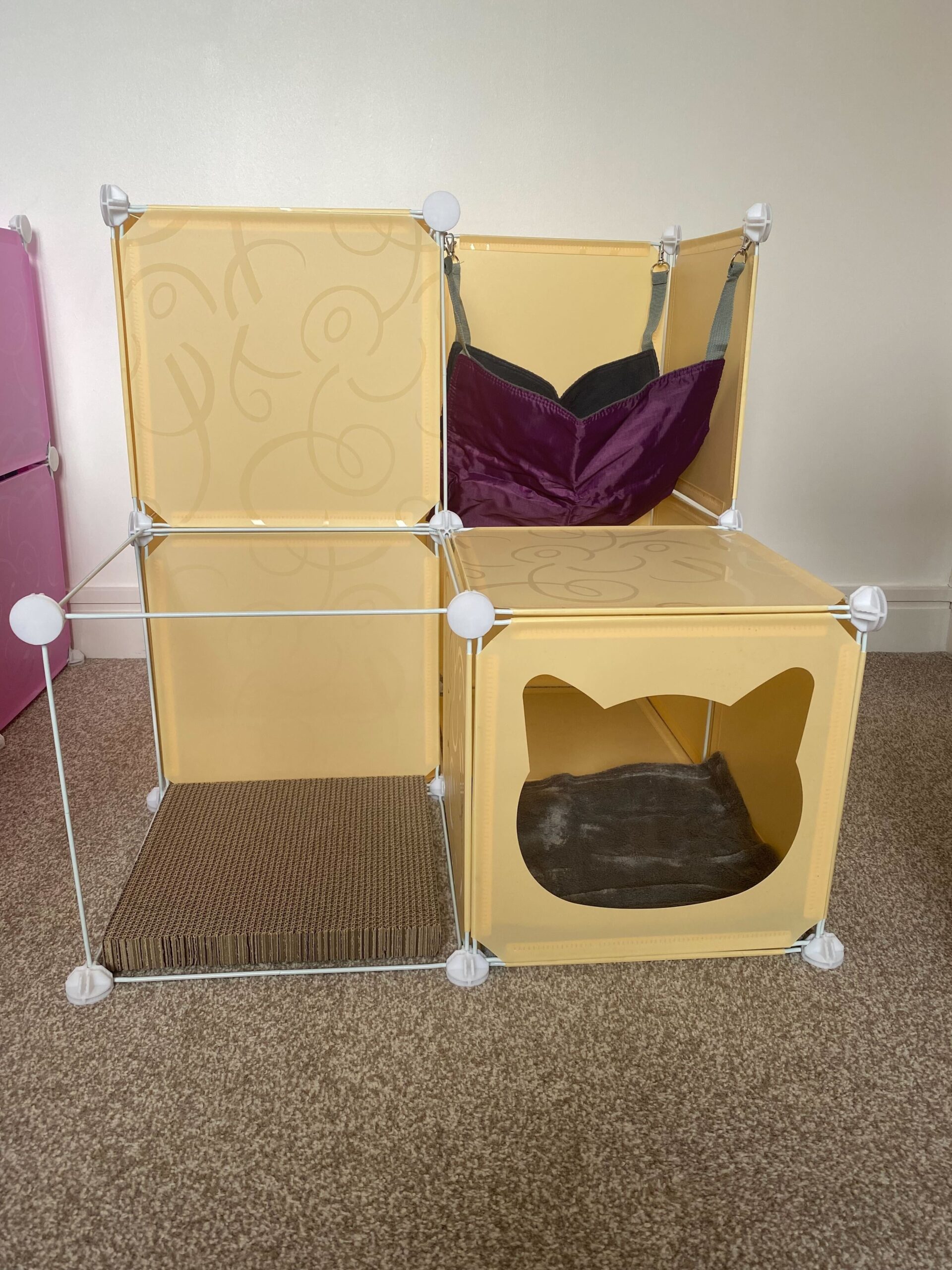 IMG3031jpg Urban Pet Play Ltd | AwardWinning Pet Care Pet Shop