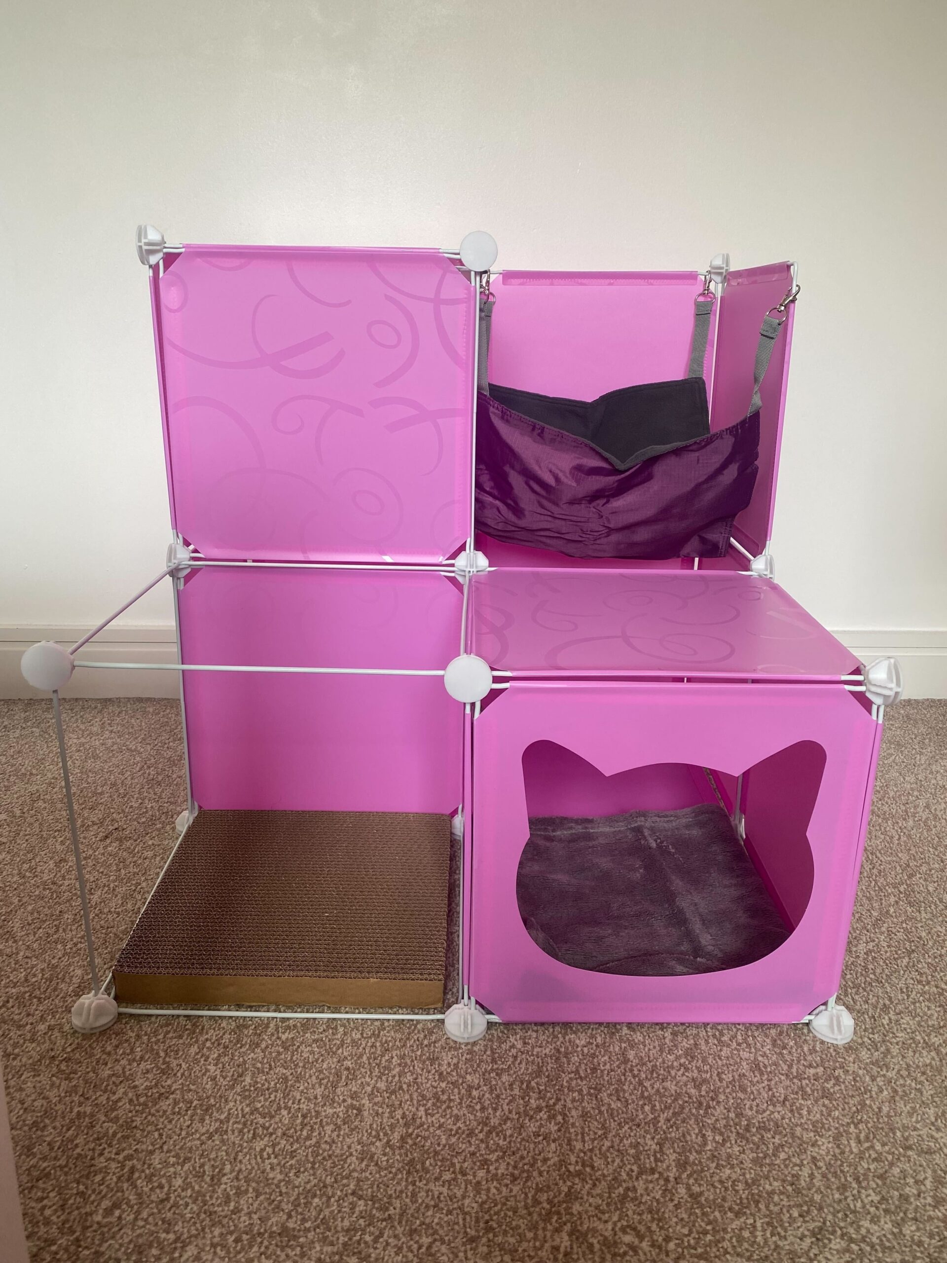 IMG3032jpg Urban Pet Play Ltd | AwardWinning Pet Care Pet Shop
