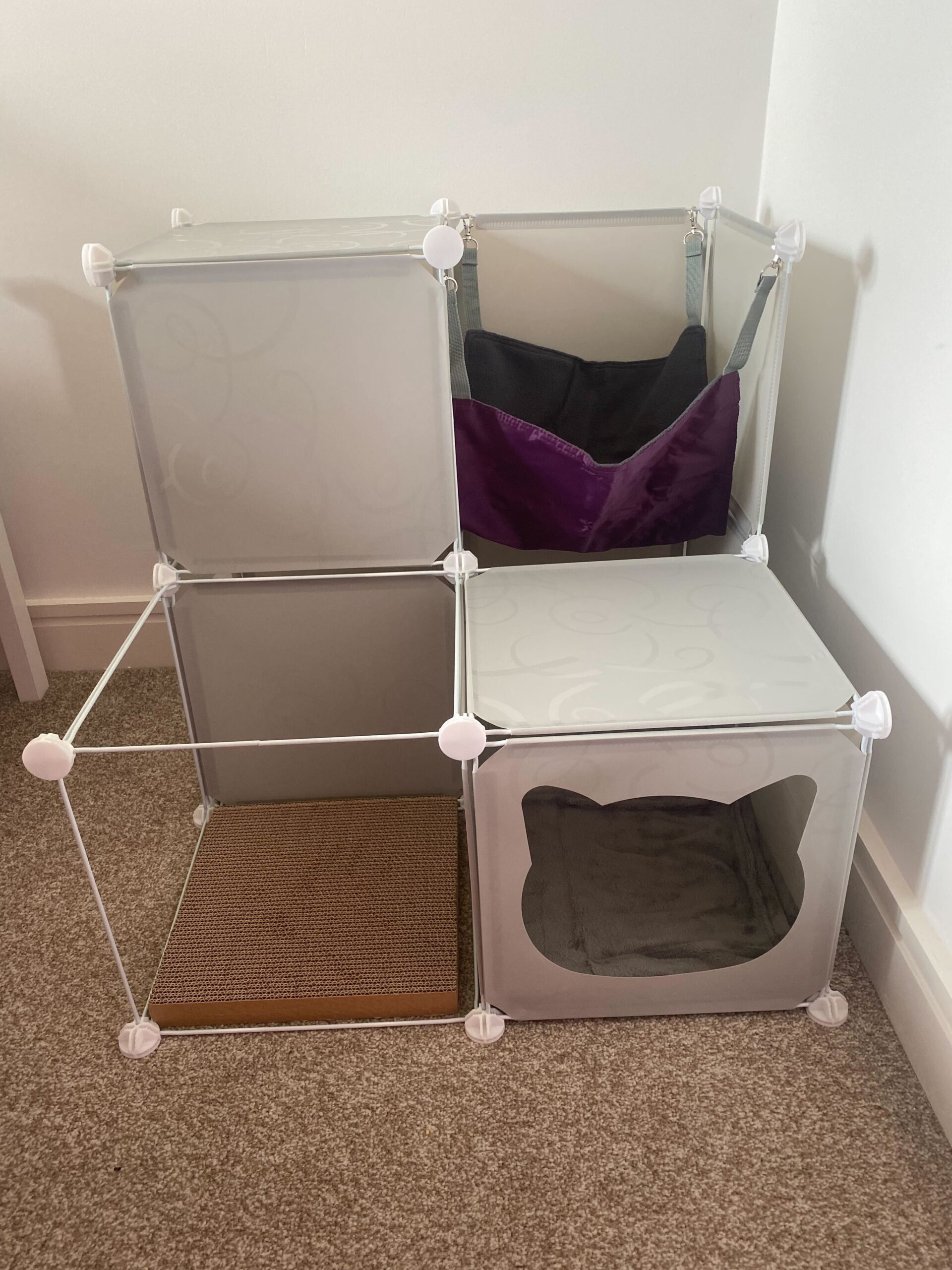 IMG3033jpg Urban Pet Play Ltd | AwardWinning Pet Care Pet Shop