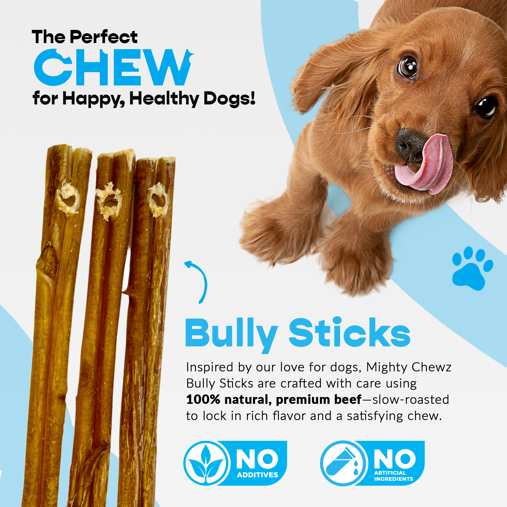 Image21png Urban Pet Play Ltd | AwardWinning Pet Care Pet Shop