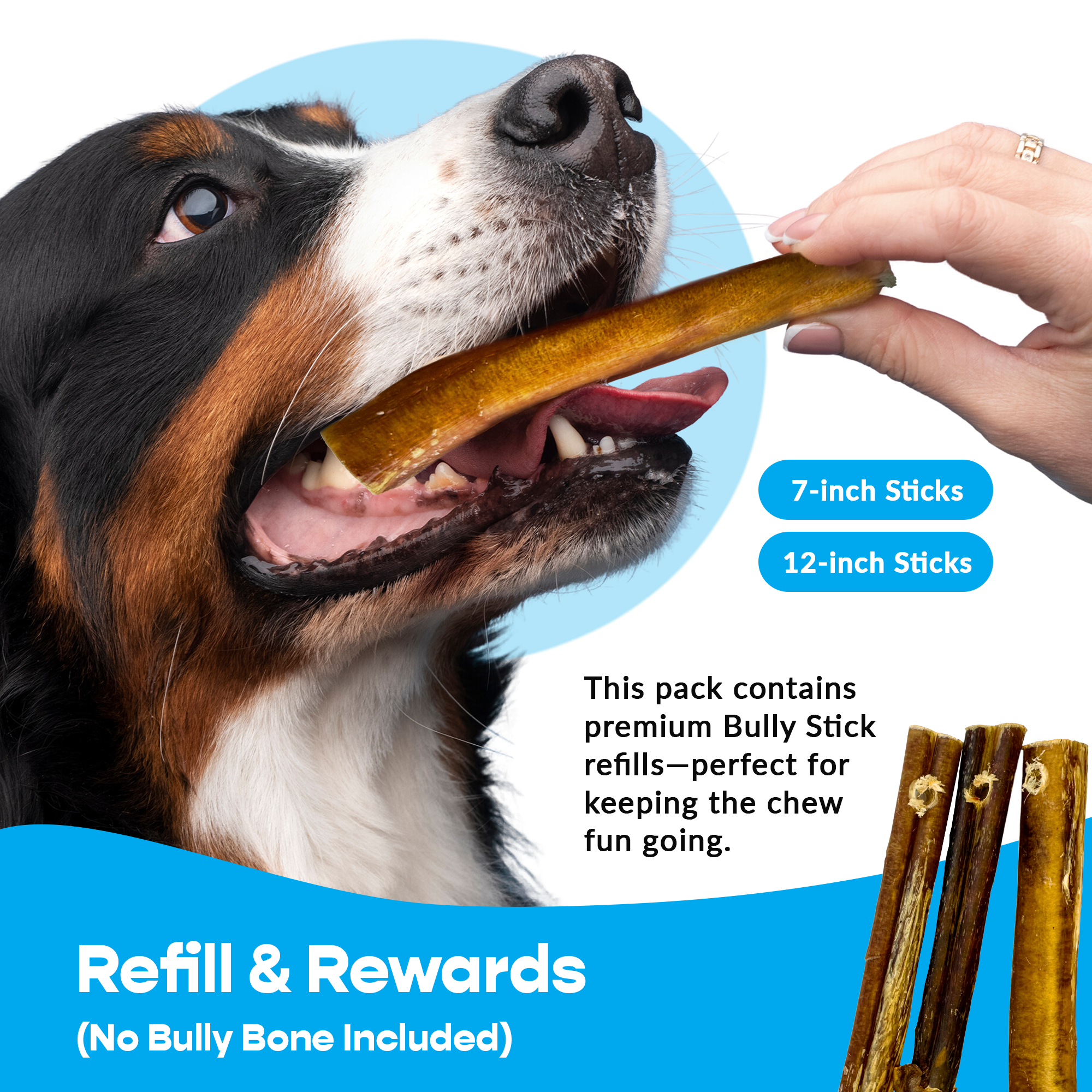 Image5png Urban Pet Play Ltd | AwardWinning Pet Care Pet Shop