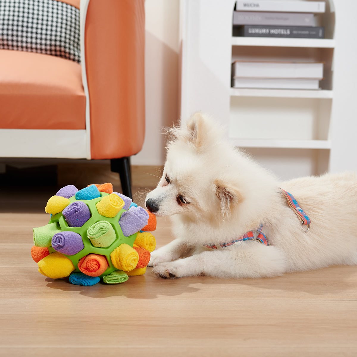 InteractiveDogSniffingBallPuzzleToycashymart35591837810966jpg Urban Pet Play Ltd | AwardWinning Pet Care Pet Shop