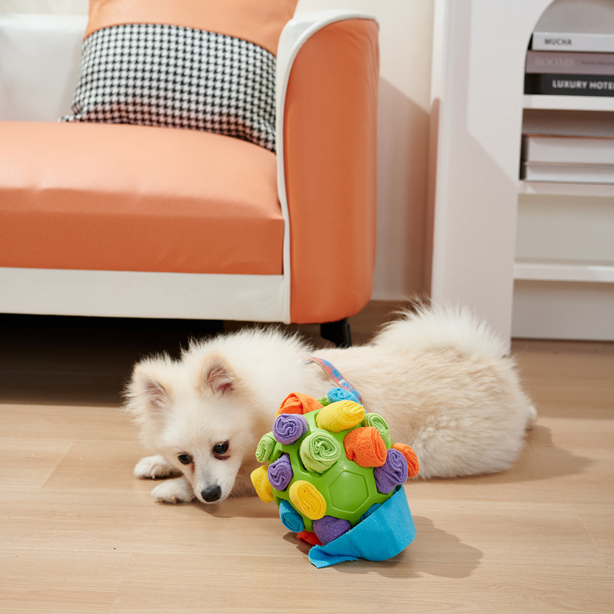 InteractiveDogSniffingBallPuzzleToycashymart35591838728470jpg Urban Pet Play Ltd | AwardWinning Pet Care Pet Shop
