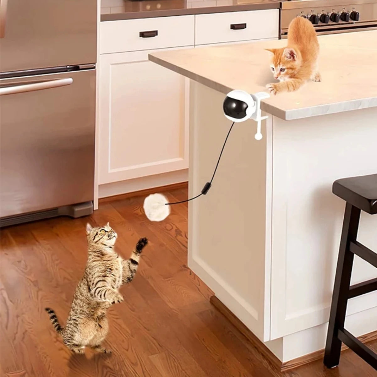 InteractiveElectricCatToycashymart39142288949526jpg Urban Pet Play Ltd | AwardWinning Pet Care Pet Shop