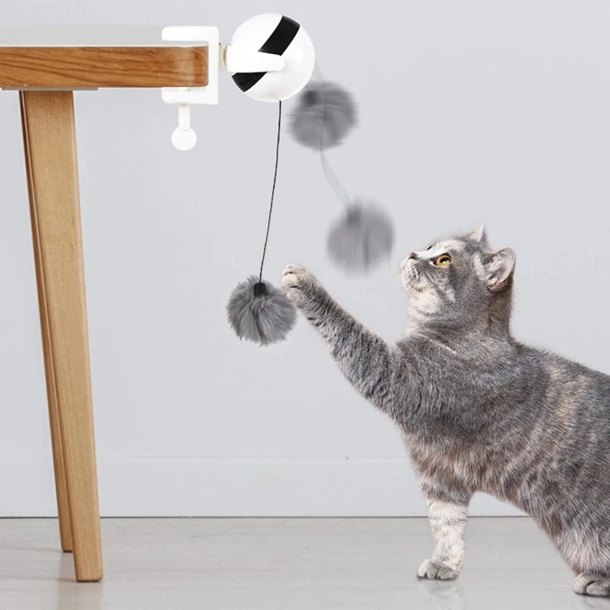 InteractiveElectricCatToycashymart39142288982294jpg Urban Pet Play Ltd | AwardWinning Pet Care Pet Shop