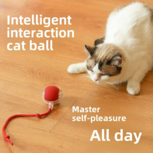 Interactive Rechargeable Cat Ball Toy