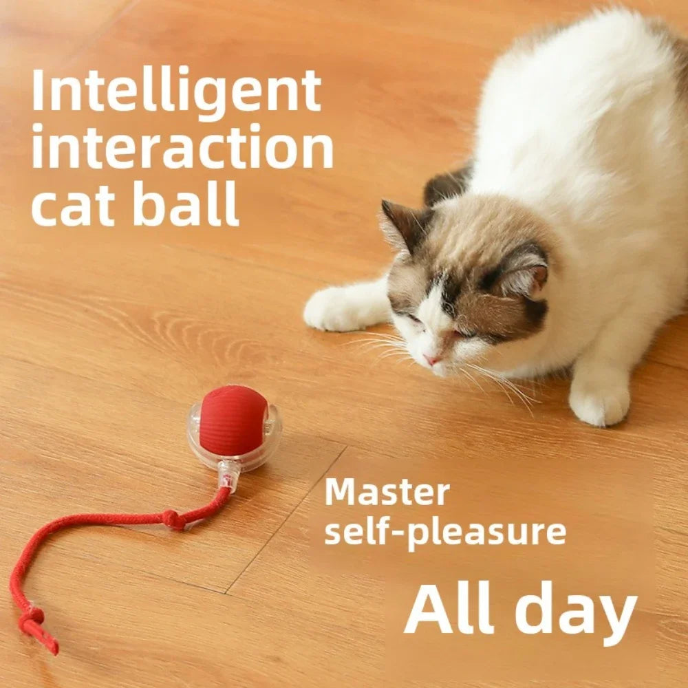 InteractiveRechargeableCatBallToycashymart39142318702870jpg Urban Pet Play Ltd | AwardWinning Pet Care Pet Shop