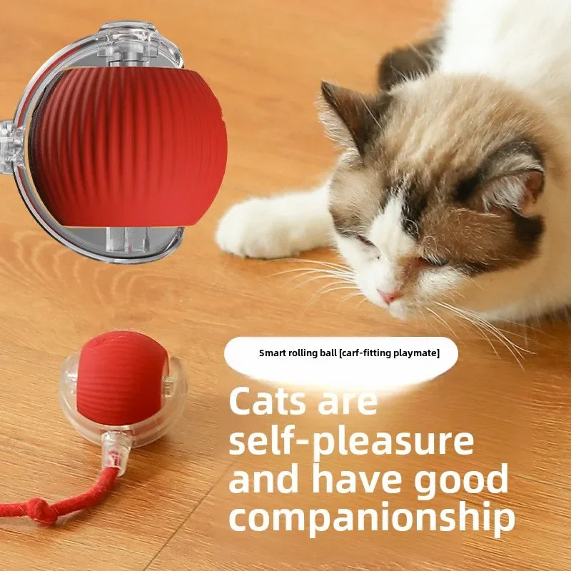 InteractiveRechargeableCatBallToycashymart39142318735638jpg Urban Pet Play Ltd | AwardWinning Pet Care Pet Shop